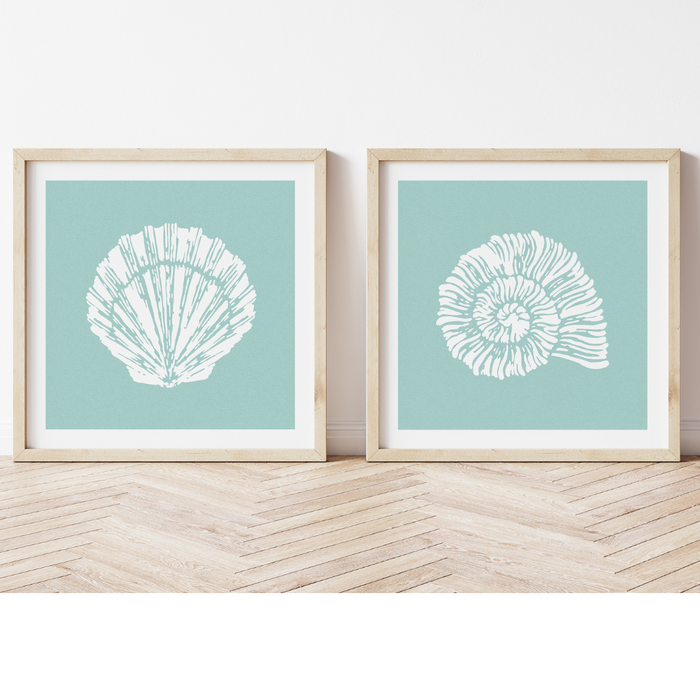 Set of Two Shell Prints | Set of two square shell prints on textured blue background