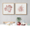 Two square framed art prints of seaweed designs displayed on a wall in a room with modern decor.