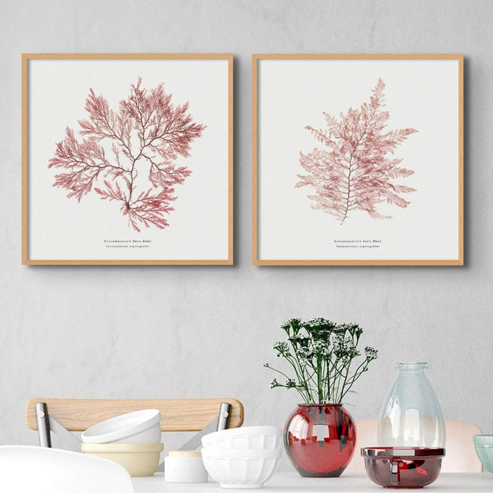 Two square framed art prints of seaweed designs displayed on a wall in a room with modern decor.