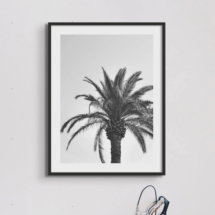 black & white photograph of a palm tree against a grey sky in a black frame above a black bicycle - beach house art