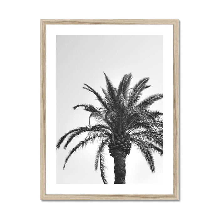 black & white photograph of a palm tree against a grey sky in a natural frame - beach house art