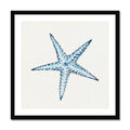 Framed artwork of a blue starfish on a white background