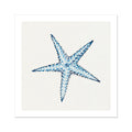 Blue starfish coastal art print painted in layered watercolour brushstrokes by Beach House Art