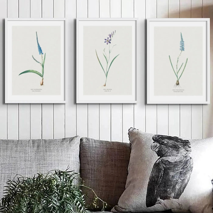 Set of Vintage Flower Print | Botanical Art - Unframed floral art print