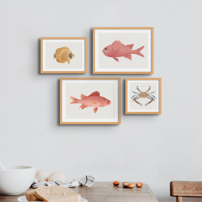Vintage Crab Painting | Shellfish Wall Art Print - Framed