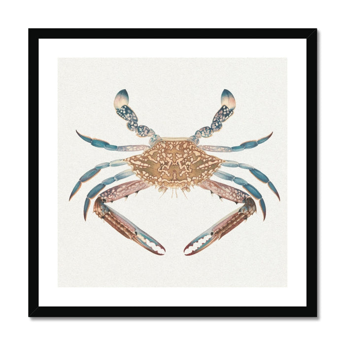 Vintage Crab Painting | Shellfish Wall Art Print - Framed