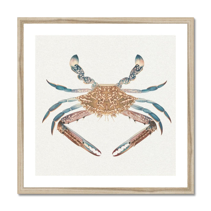 Vintage Crab Painting | Shellfish Wall Art Print - Framed
