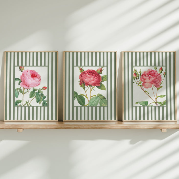 Three framed floral prints with pink roses on a wooden shelf against a white wall.
