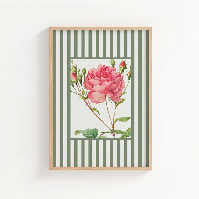 Framed artwork of a pink rose on a green and white striped background