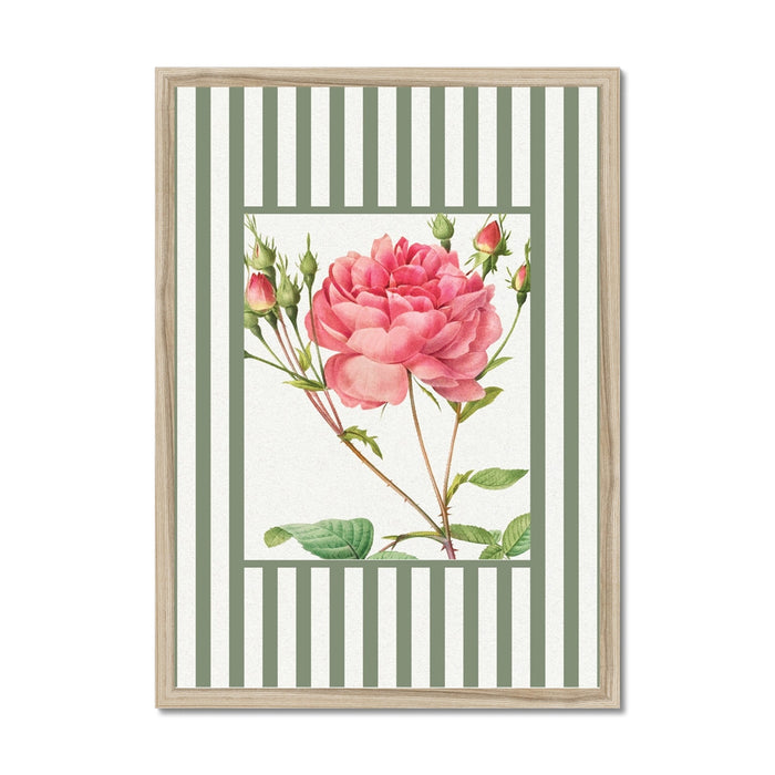 Framed artwork with a pink rose and green striped background