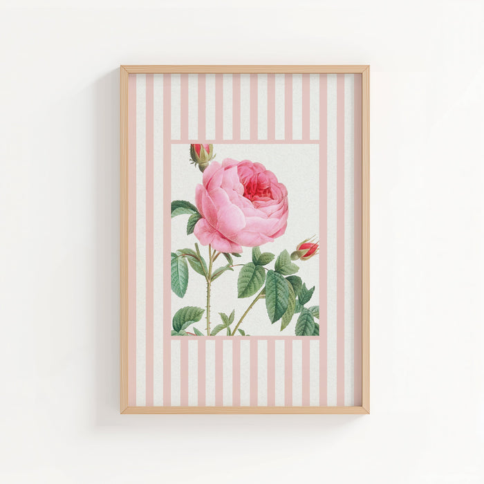 Bontaical art print of framed artwork with a pink rose on a striped background