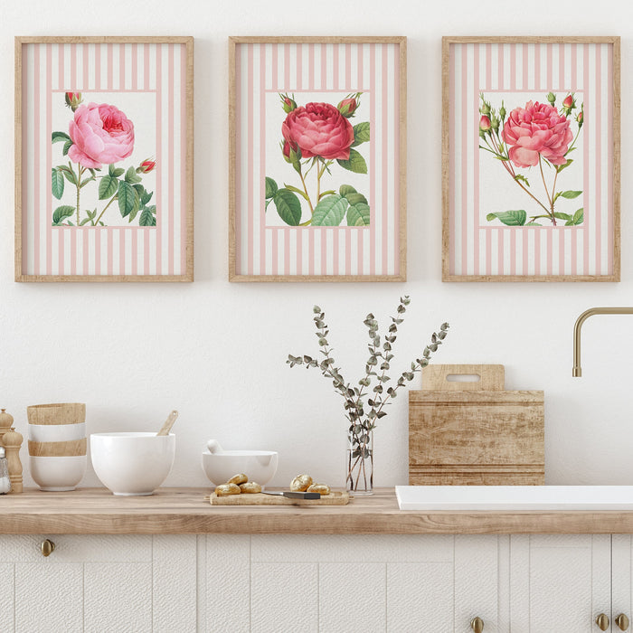 Set of three framed vintage flower prints above a kitchen counter with various items.