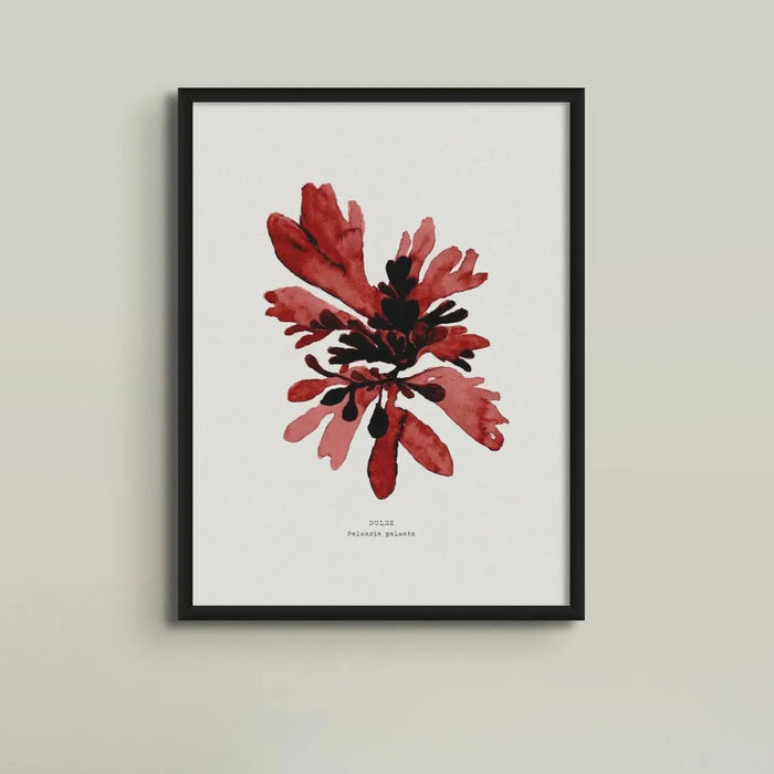 Watercolour Seaweed Print Wall Art (Dulse) - Framed Beach House Art