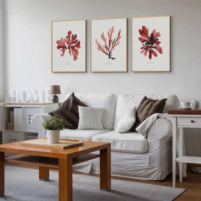 Watercolour Seaweed Print Wall Art (Dulse) - Framed Beach House Art