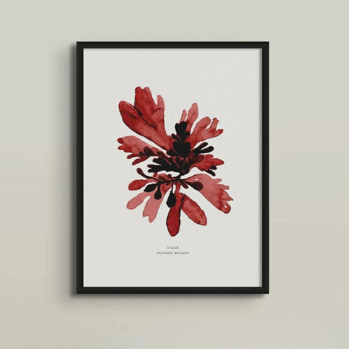 Watercolour Seaweed Print Wall Art (Dulse) - Framed Beach House Art