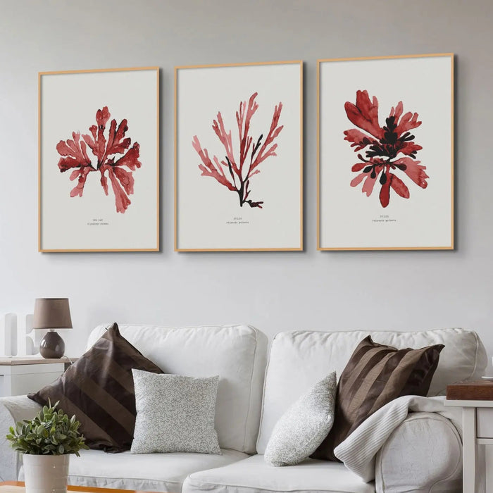 Painted Watercolour Seaweed Print Wall Art in red (Dulse) - Unframed