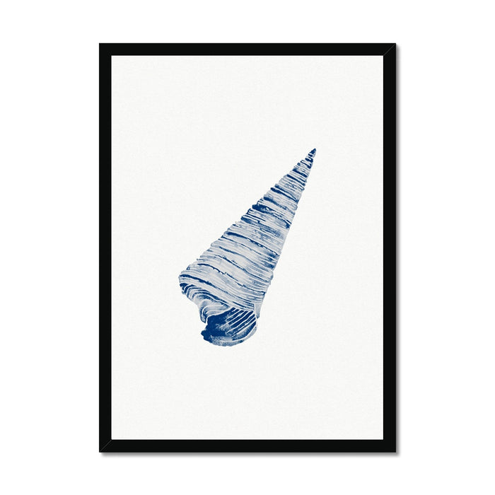 Framed watercolour art print of a blue cone shell on a white background, enclosed in a simple black frame.