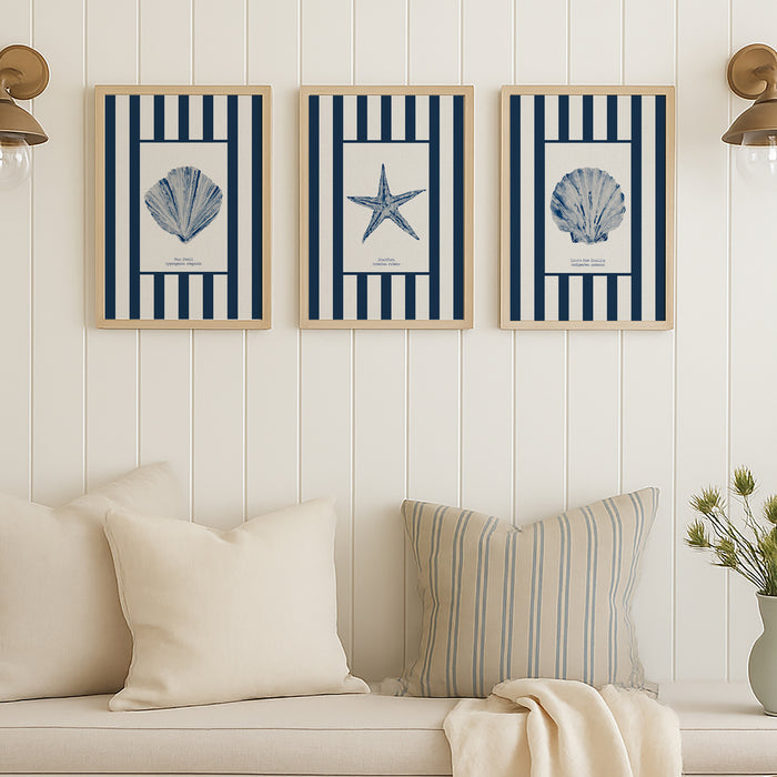 Three framed nautical-themed shell prints above a sofa with decorative pillows and a blanket.