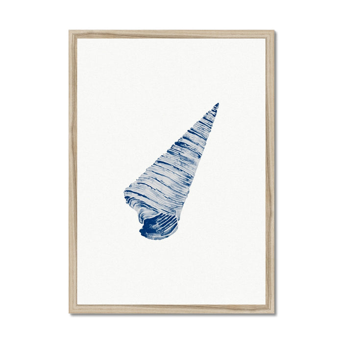 Framed watercolour art print of a blue cone shell on a white background, enclosed in a simple wooden frame.