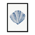 Shell art print of a blue fan shell on a white background, housed in a simple black frame.
