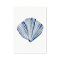 A framed art print of a blue watercolour shell on a white background.