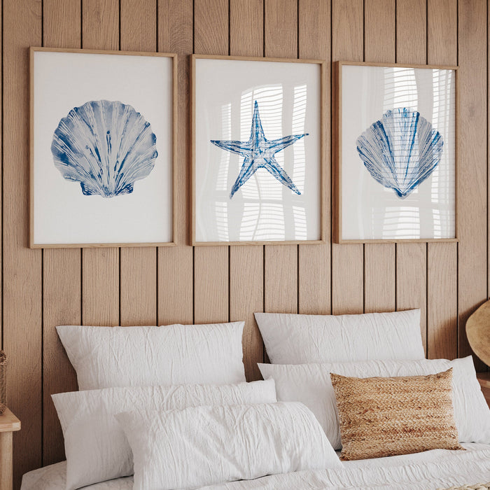 A set of three shell prints on wall in in coastal styled bedroom.