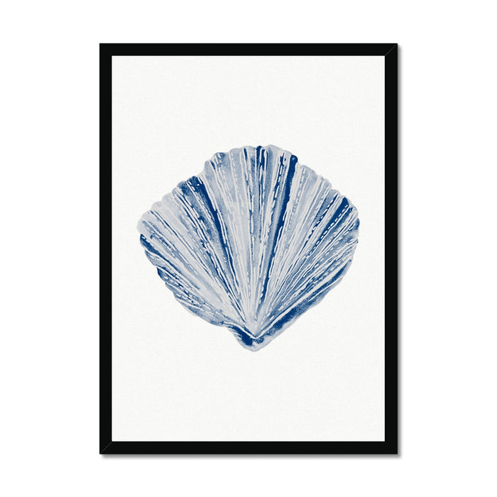 Shell art print of a blue fan shell on a white background, housed in a simple black frame.