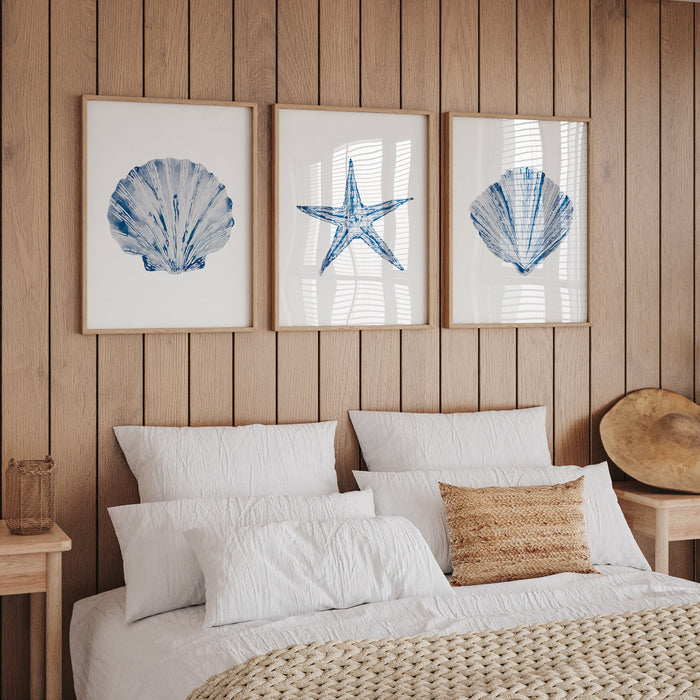 Set of three shell art prints on wall above coastal styled bed.