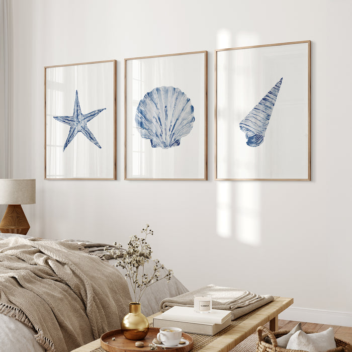 set of three shell prints in coastal living room.
