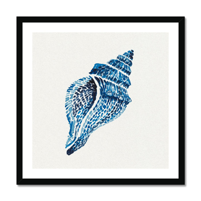 Blue shell illustration on a white background with a black frame