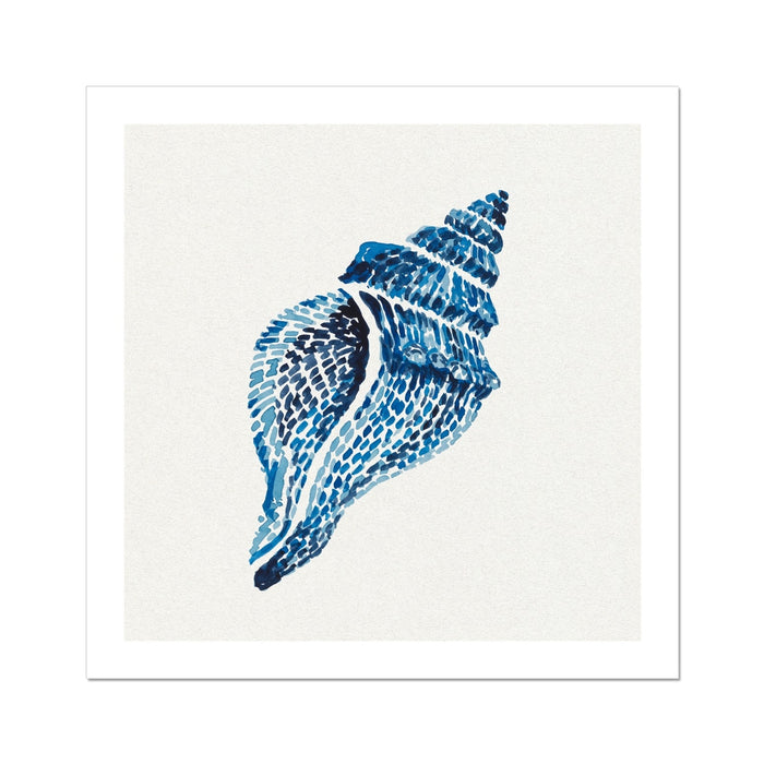 Blue shell art print on a white background