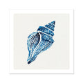 Blue shell art print on a white background