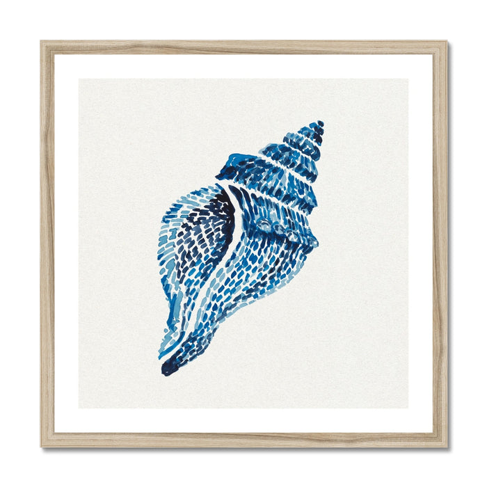 Framed artwork of a blue shell on a white background