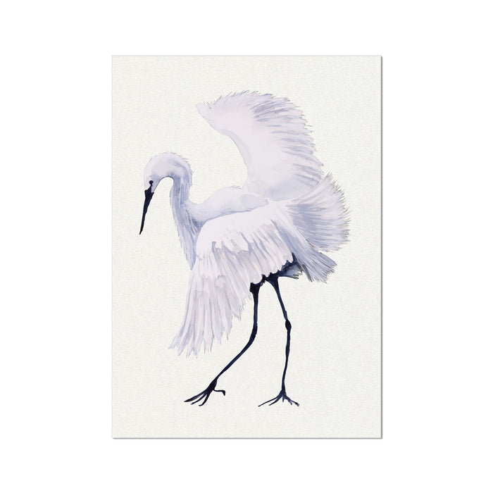 White egret with outstretched wings on a light background art print.