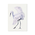 White egret with outstretched wings on a light background art print.