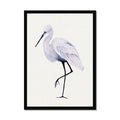 Framed artwork of a heron bird on a white background