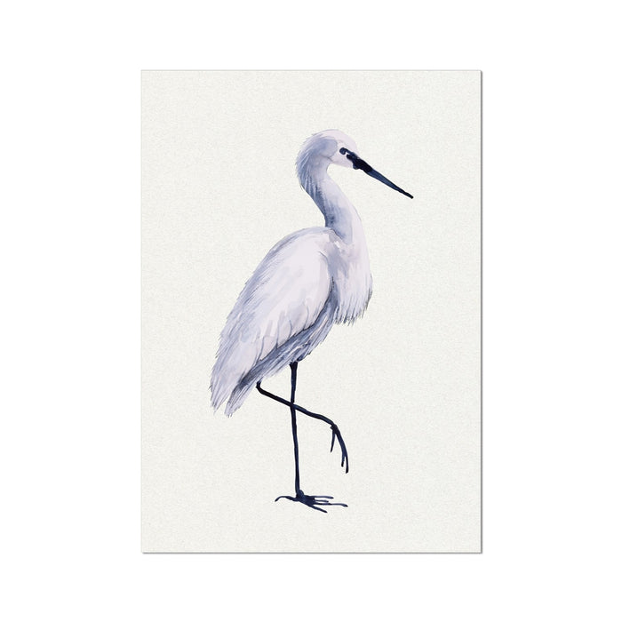 White bird illustration on a light grey background