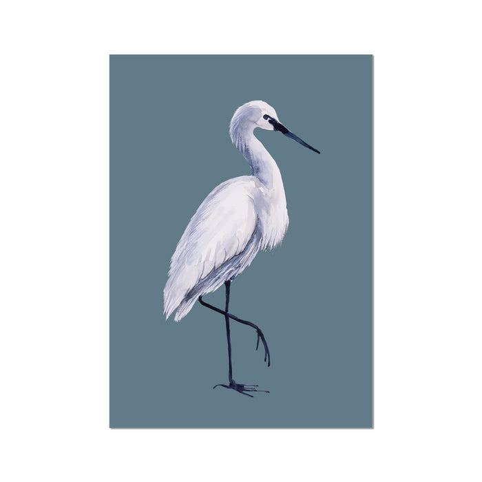 White bird illustration on a blue background