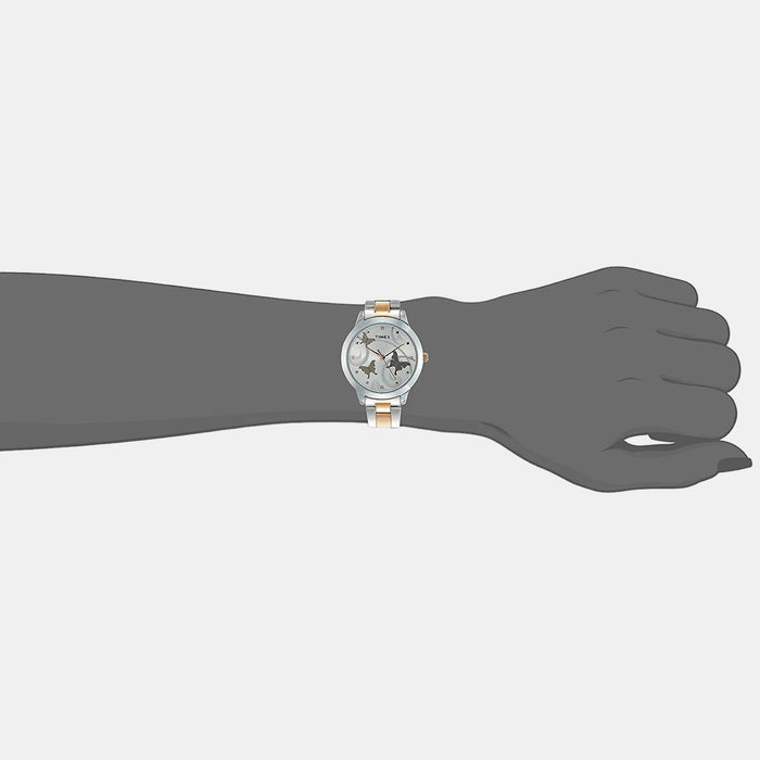 Timex Stainless Steel Round watch